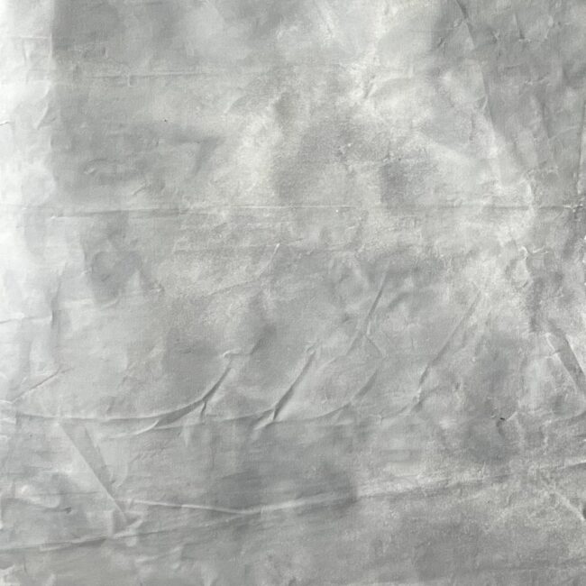 8' x 6' - Rental price: $50